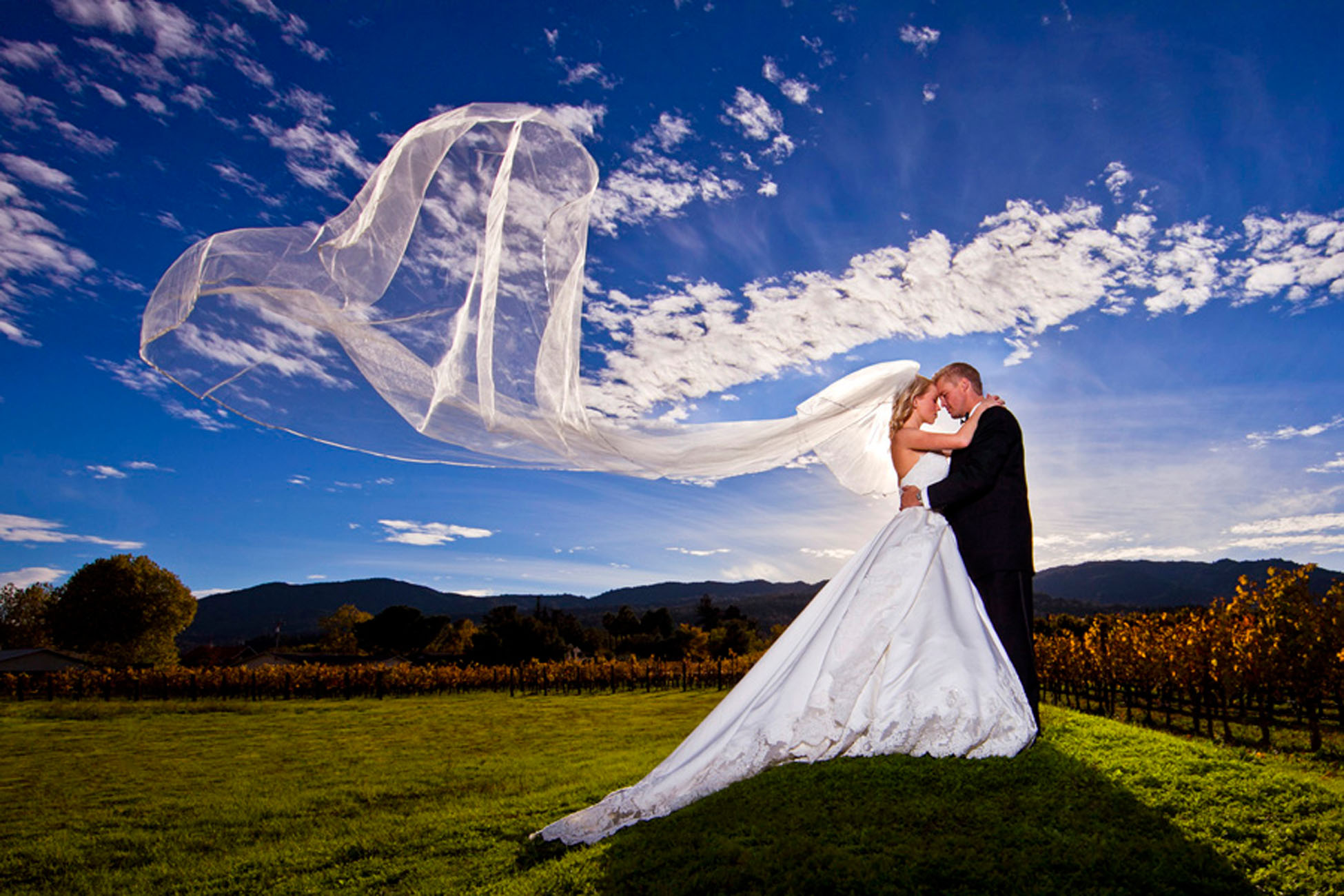 Mischa Photography LLC