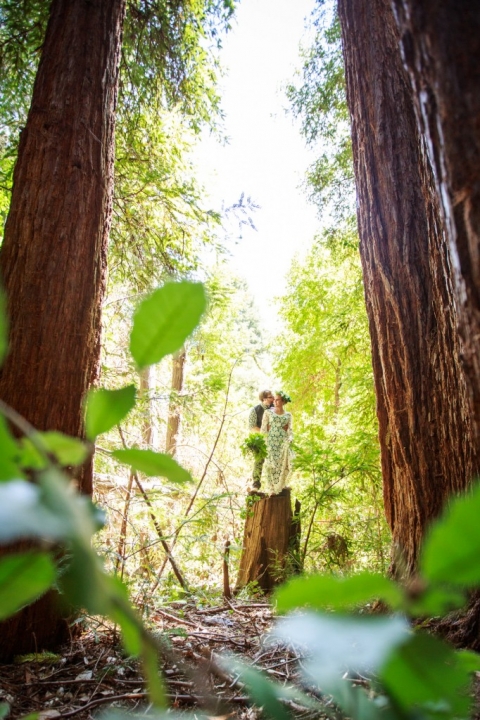 bride & groom on redwood stump