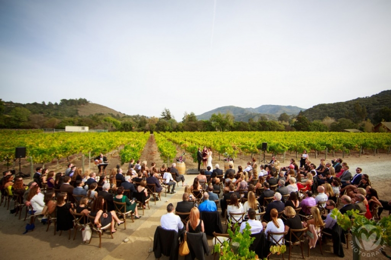 vineyard ceremony overhead view
