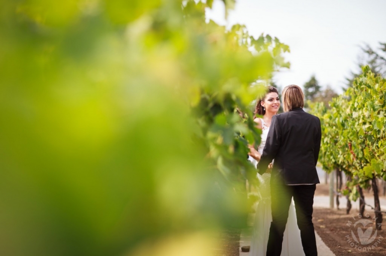 vineyard brides