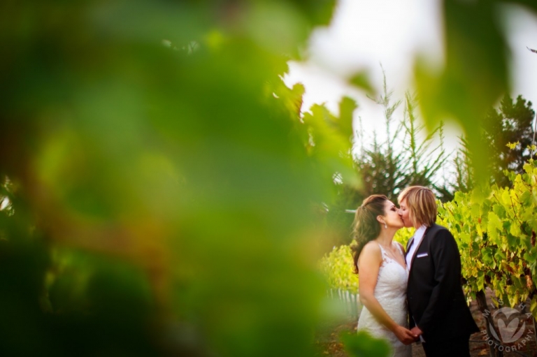 vineyard kiss