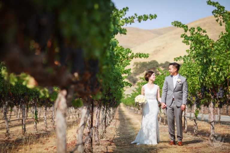 Wente Winery vineyard first look