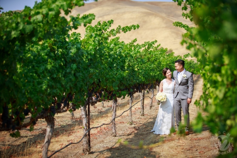 Wente Winery wedding