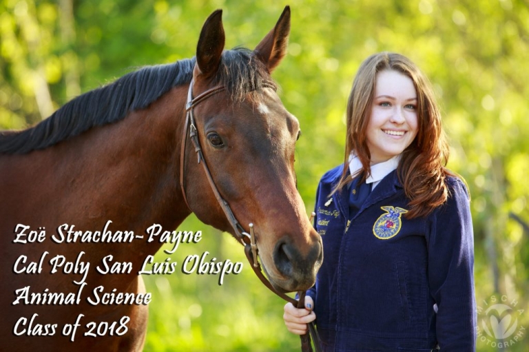 FFA Senior announcement