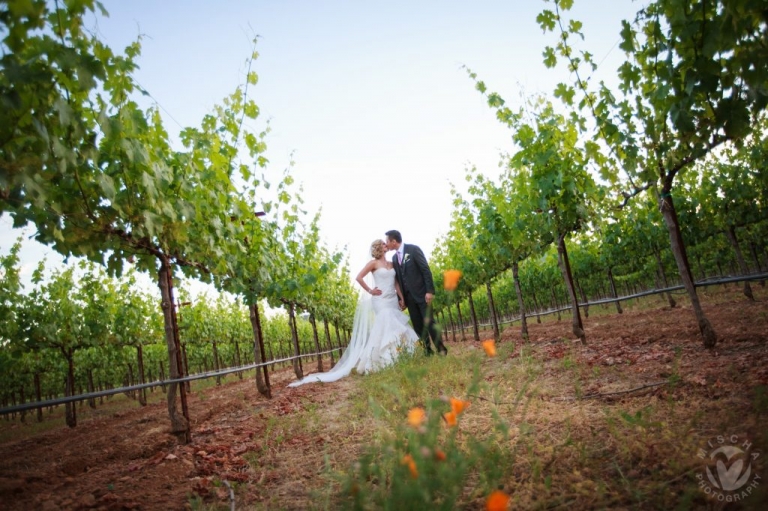 Napa Valley wedding