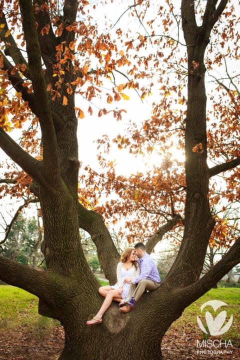 Sacramento engagement Davis Arboretum