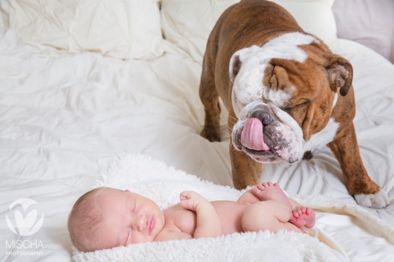 Sacramento Newborn Photography