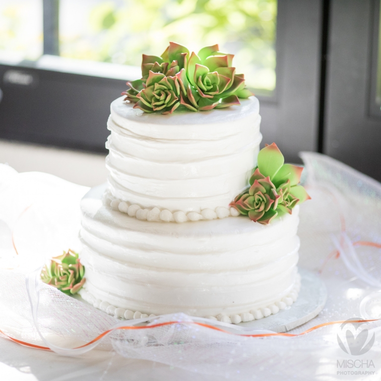 succulent cake