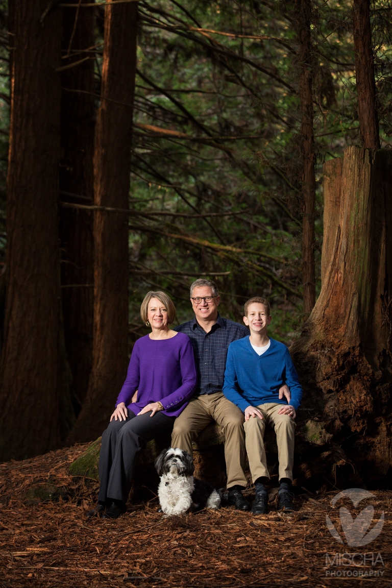 Family portrait photographer