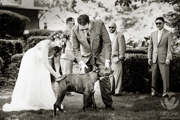 weddings with dogs