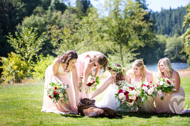 weddings with dogs